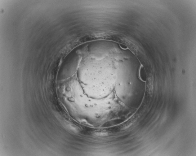 X0000066090653200603171056