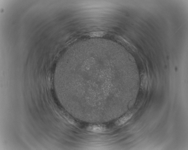 X0000066090655200603171056