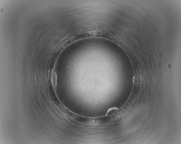 X0000066090656200603171056