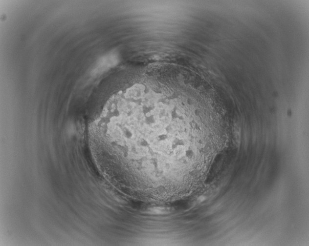 X0000066090657200603171056