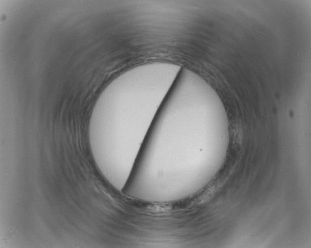 X0000066090660200603171057