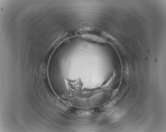 X0000066090661200603171057