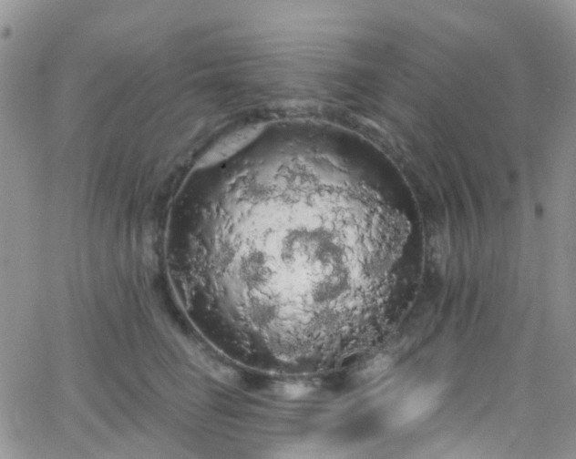 X0000066090662200603171057