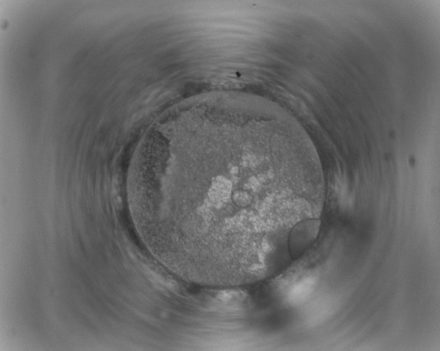 X0000066090663200603171057