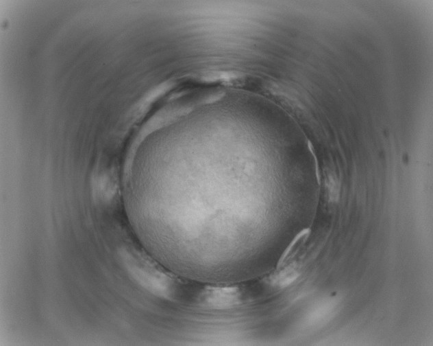 X0000066090665200603171057