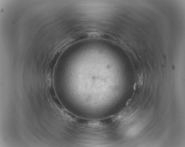 X0000066090666200603171057