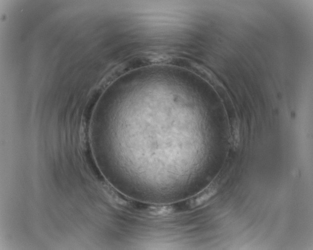 X0000066090667200603171057