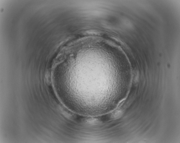 X0000066090669200603171057