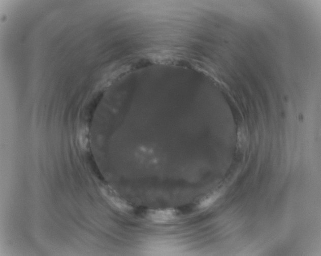 X0000066090671200603171057