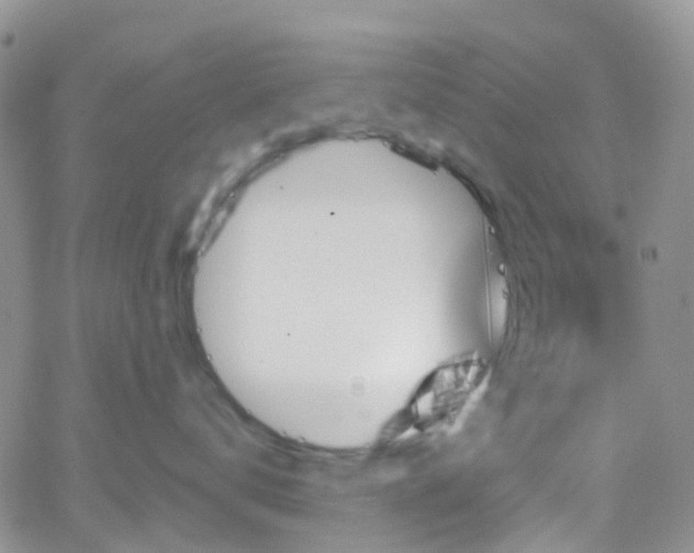 X0000066090672200603171057