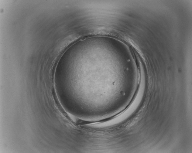 X0000066090673200603171056