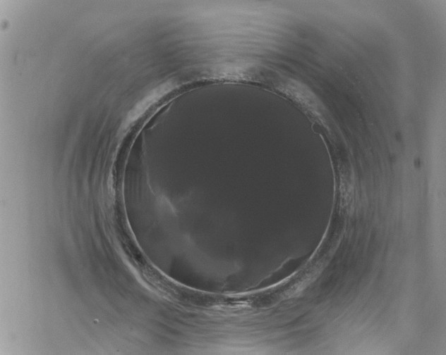 X0000066090674200603171056