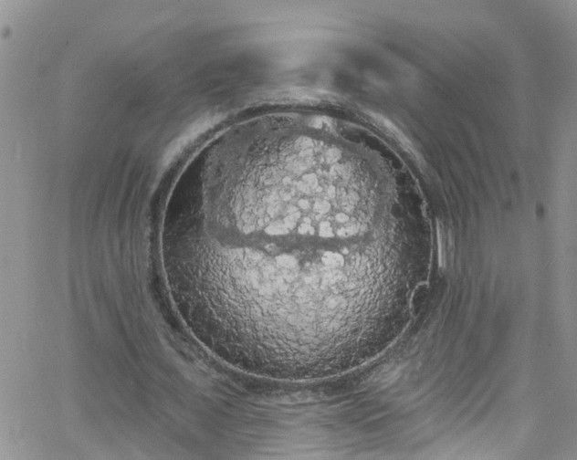 X0000066090675200603171056