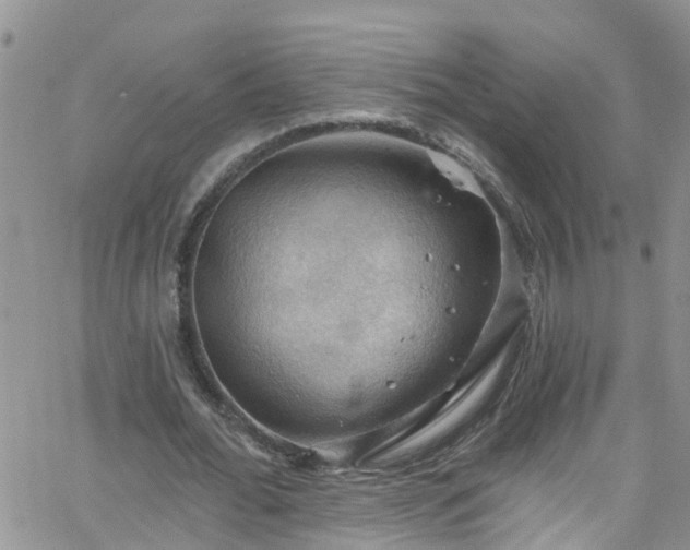 X0000066090676200603171056