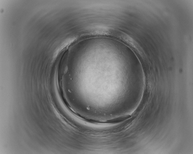 X0000066090677200603171056