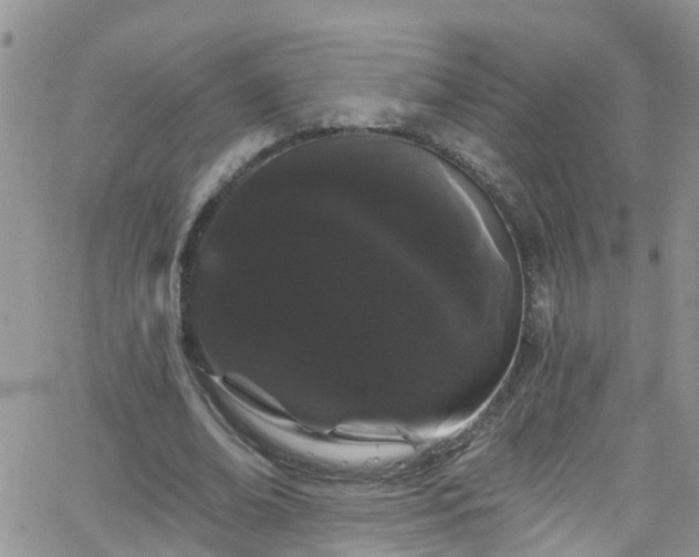 X0000066090678200603171056