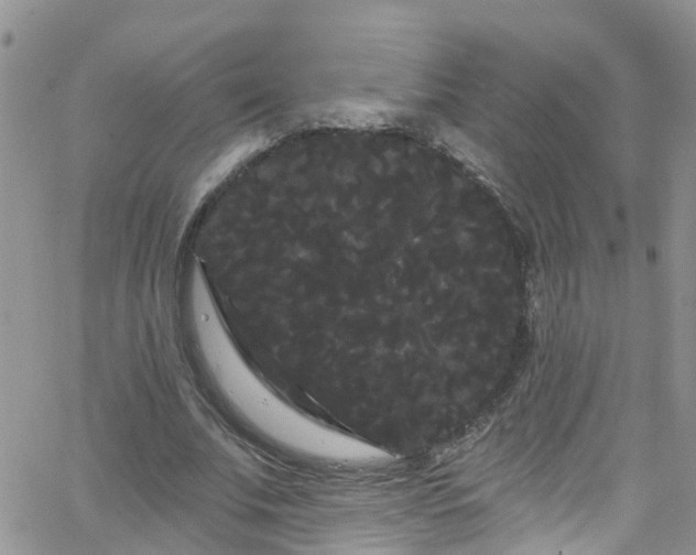 X0000066090679200603171056