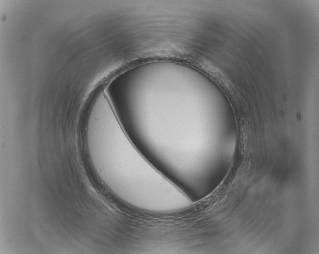 X0000066090680200603171056