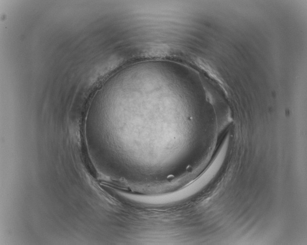 X0000066090681200603171056