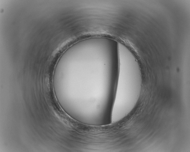 X0000066090684200603171056