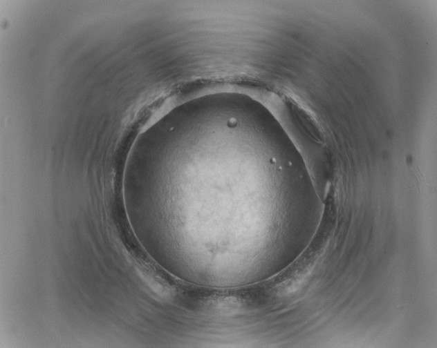 X0000066090685200603171056