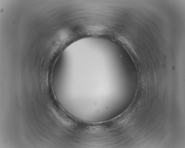 X0000066090686200603171056