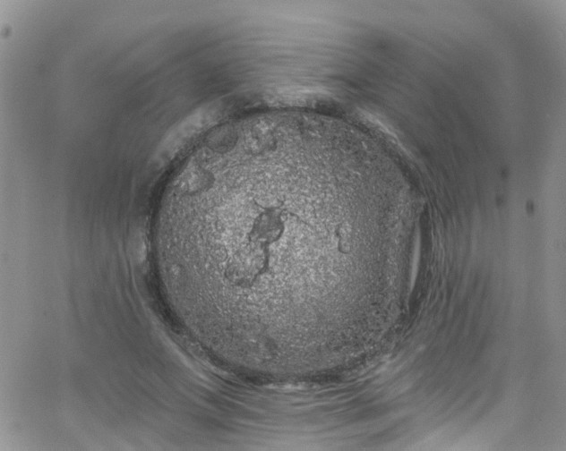 X0000066090687200603171056