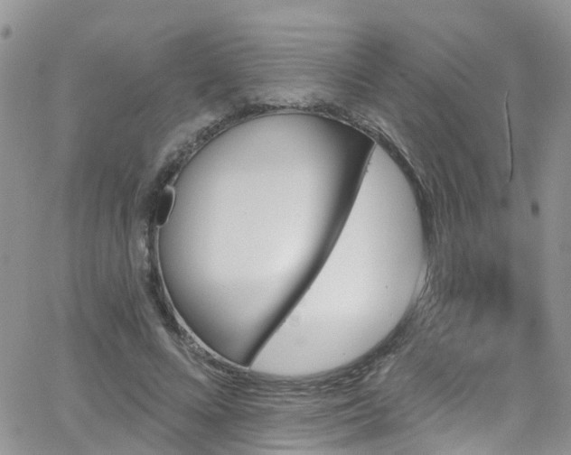 X0000066090688200603171056