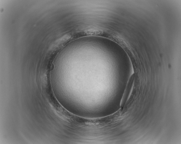 X0000066090690200603171056