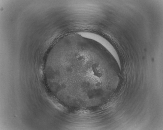 X0000066090691200603171056