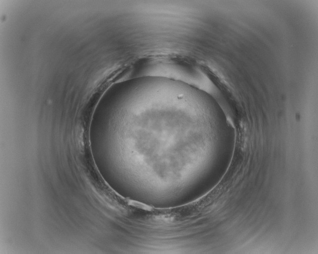 X0000066090692200603171056