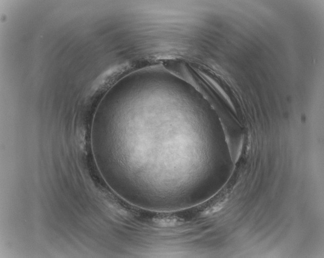 X0000066090693200603171056