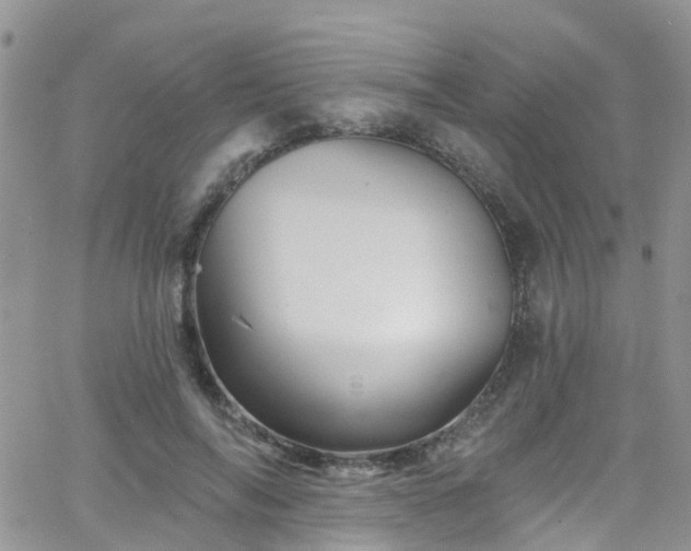 X0000066090694200603171056