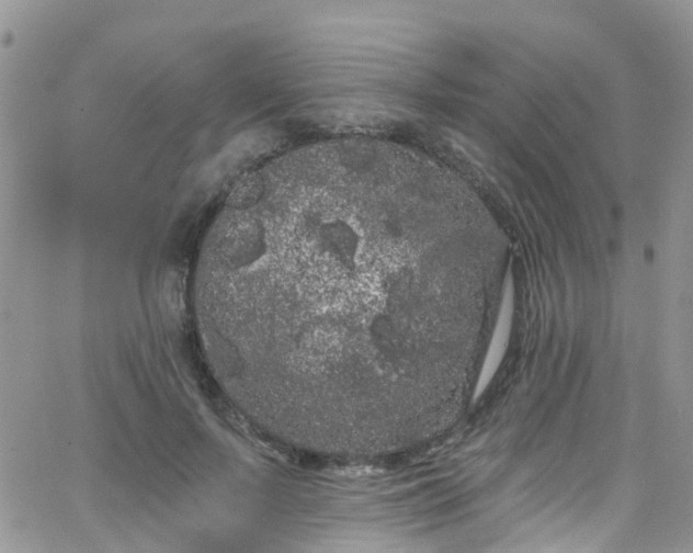 X0000066090695200603171056