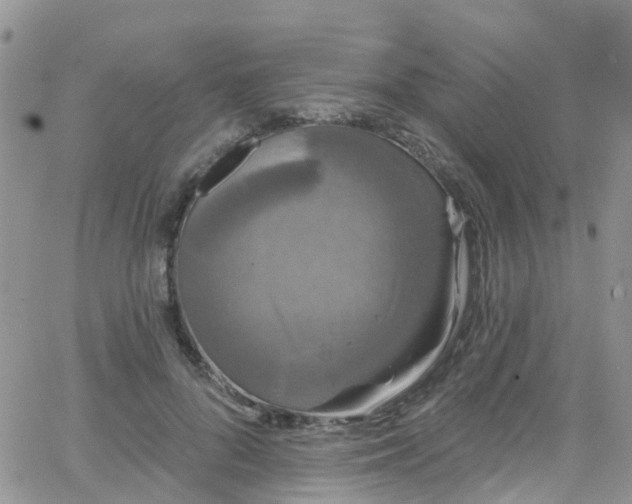 X0000066090696200603171056