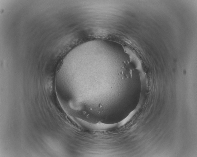 X0000066090697200603171056