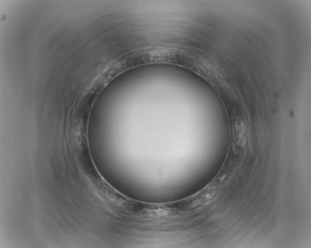 X0000066090698200603171056