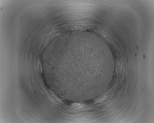 X0000066090699200603171056