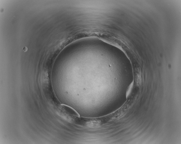 X0000066090700200603171056