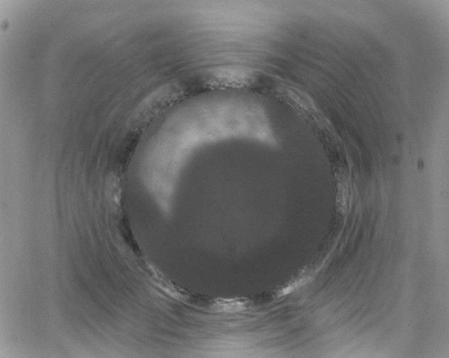 X0000066090701200603171056