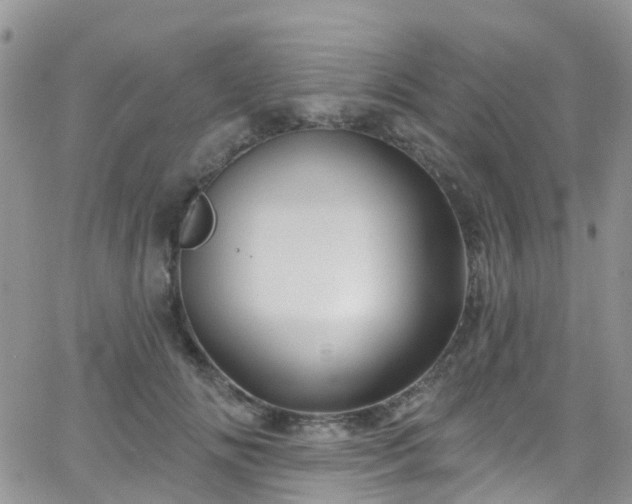 X0000066090702200603171055