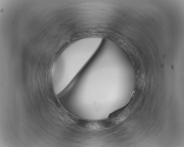 X0000066090704200603171055