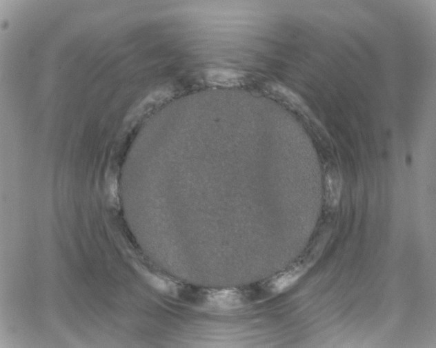 X0000066090705200603171055