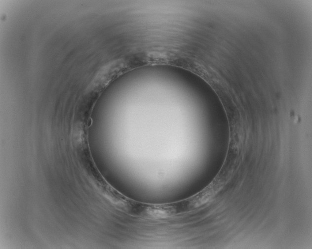 X0000066090706200603171055