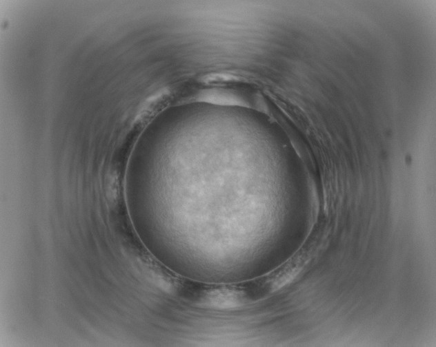 X0000066090708200603171055