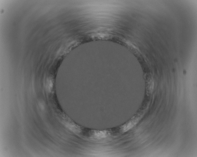 X0000066090709200603171055