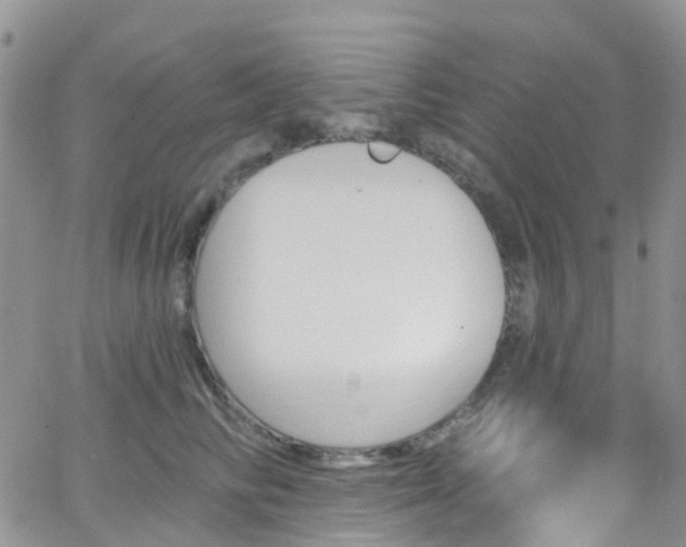 X0000066090710200603171055