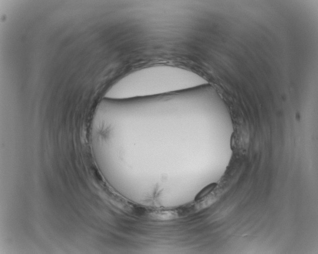 X0000066090711200603171055