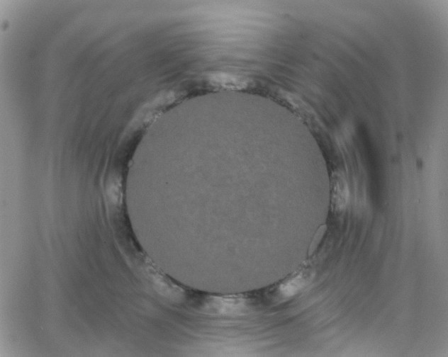 X0000066090713200603171055