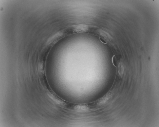 X0000066090714200603171055